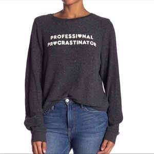 Wildfox Professional Procrastinator Grey Sweater